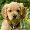 Girl_2_2026-08-17_Bella_4
