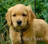 Boy 1 2026-08-17_ Jones_3
