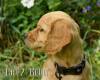 Girl_2_2026-08-17_Bella