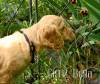 Girl_2_2026-08-17_Bella_3