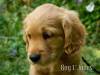 Boy 1 2026-08-17_ Jones_5