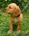 Boy 2 2026-08-17_Finn_4