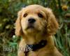 Boy 1 2026-08-17_ Jones