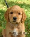 Boy 2 2026-08-17_Finn_2
