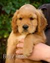 Boy 2 2026-08-17_Finn_3
