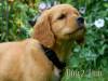 Boy 2 2026-08-17_Finn_5