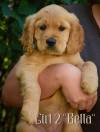 Girl_2_2026-08-17_Bella_5